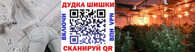 Наркошоп Колпашево Гашиш  Кокаин  A-PVP  Codein  Меф мяу мяу 