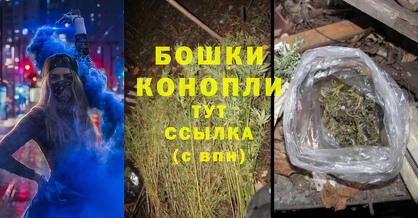 дмт Нея