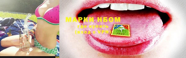 дмт Нея