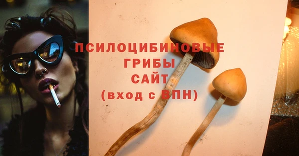дмт Нея