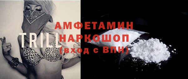 индика Нефтекумск