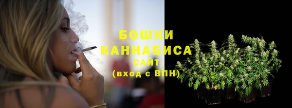 дмт Нея