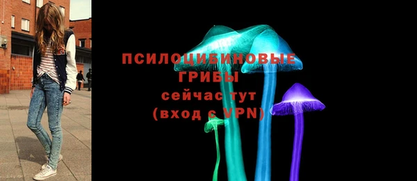 дмт Нея