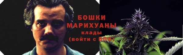 дмт Нея