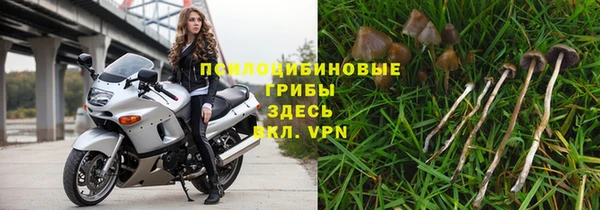 индика Нефтекумск