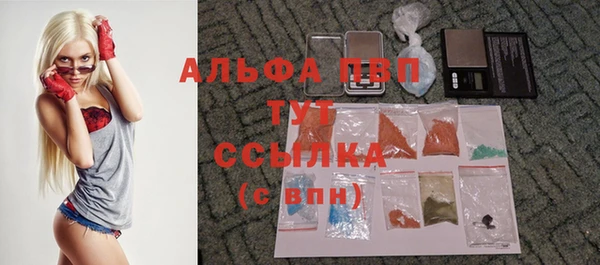 индика Нефтекумск