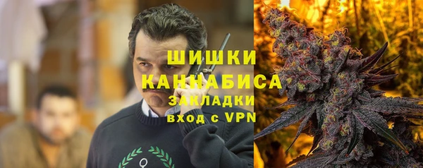 индика Нефтекумск