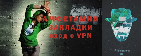 крисы Надым